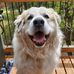 Jamie Krall - Facebook