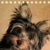 Jamie Kruger - Facebook