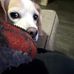 Jamie Kruger - Facebook