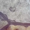 jaime kullman - @jaime.kullman - TikTok