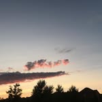 Jamie Kwon - @jamierane - Instagram