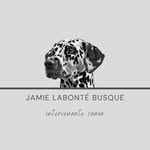 Jamie Labonté Busque - @jamie_intervenante_canin - Instagram