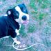 Jamie Laduke - Facebook
