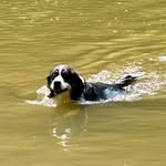 Jamie L - @jamie_lambier - Instagram