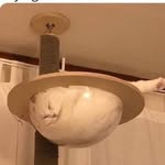 jamie.lance.was.here - @jamie.lance.was - Instagram