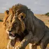 Jamie Laney - @jamie.laney2 - TikTok