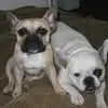 Jamie Leff - @jamie.leff - TikTok
