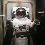 Jamie Legg - @legg6942 - Instagram