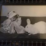 Jamie Lehmann - @secondbestzelda - Instagram