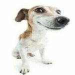 Jamie Lehmann - @jamjemargl - Instagram