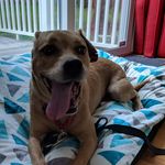 Jamie Leone Petriashvili - @fosteradventures.jd - Instagram