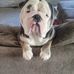 Jamie Lerner - Facebook