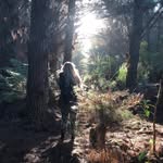 Jamie le Roux - @j.amieleroux - Instagram