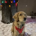 Jamie Leroux - Facebook