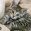 Jamie Lindemann - @jamie.lindemann5 - TikTok