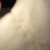 jamielopes683 - @jamielopes683 - TikTok