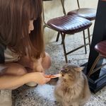 Jamie Lu - @jamie._.lu - Instagram