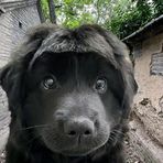 Jamie Lu - Facebook