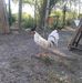 Jamie Lugo - Facebook