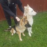 Jamie smith - @jamielukesmith - Instagram