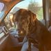 Jamie Lyman - Facebook