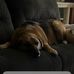 Jamie MacKenzie - Facebook