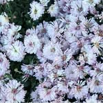 whps - @jamie__macleod - Instagram