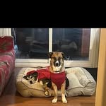 Jamie Malcolm - @jamie.malcolm.393 - Instagram