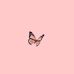 Jamie Maloy - Facebook