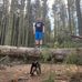 Jamie Mannion - Facebook