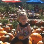 Jamie Marion - @jamie.marion.52 - Instagram