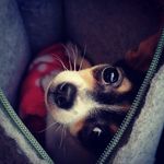 jamie Markus - @jamiemarkus53 - Instagram