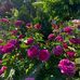 Jamie Marlin - Facebook