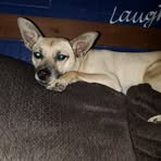 Jamie Mattern - Facebook