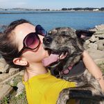 Jamie Lee Maxfield - @dogs_are_better_than_us - Instagram