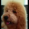 Jamie McAndrews943 - @jamiemcandrews943 - TikTok