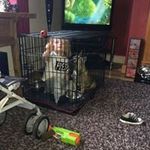 Jamie Rails McCormack - @jamie.mccormack.7 - Instagram
