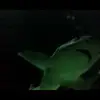 jamiemcfall58 - @jamiemcfall58 - TikTok