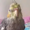 jamiemcfall879 - @jamiemcfall879 - TikTok