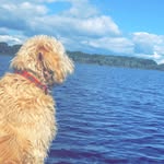 Jamie McGloin - @jmg.2402 - Instagram