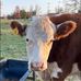 Jaime Mertz - Facebook