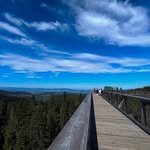 Jamie Midgett - @jamiemidgett - Instagram