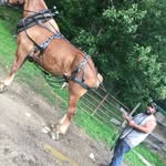 Jamie Mike Hess - @jamiemikehess - Instagram
