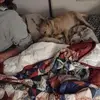 Jamie Monaghan - @jamie.monaghan7 - TikTok