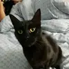 jamiemonaghan436 - @jamiemonaghan436 - TikTok