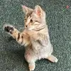 jamiemullaney930 - @jamiemullaney930 - TikTok