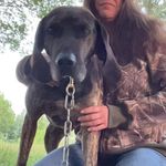 Jamie Nadeau - @jamie.nadeau.71 - Instagram