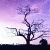 jam_jam - @jamienam5 - TikTok