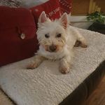 Jamie Nancarrow - @jamienancarrow - Instagram