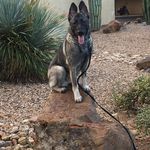 Jamie Nickell - @nickell_556 - Instagram